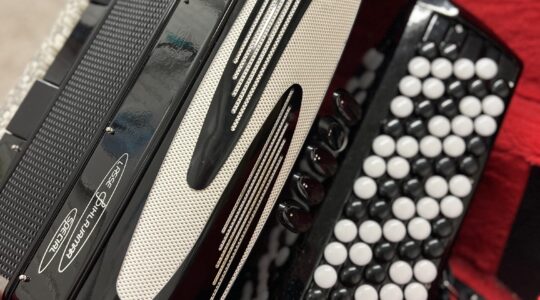 Harmonikka ja kotelo